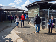 PN030422-172 - Paul Nicholls Stable Visit